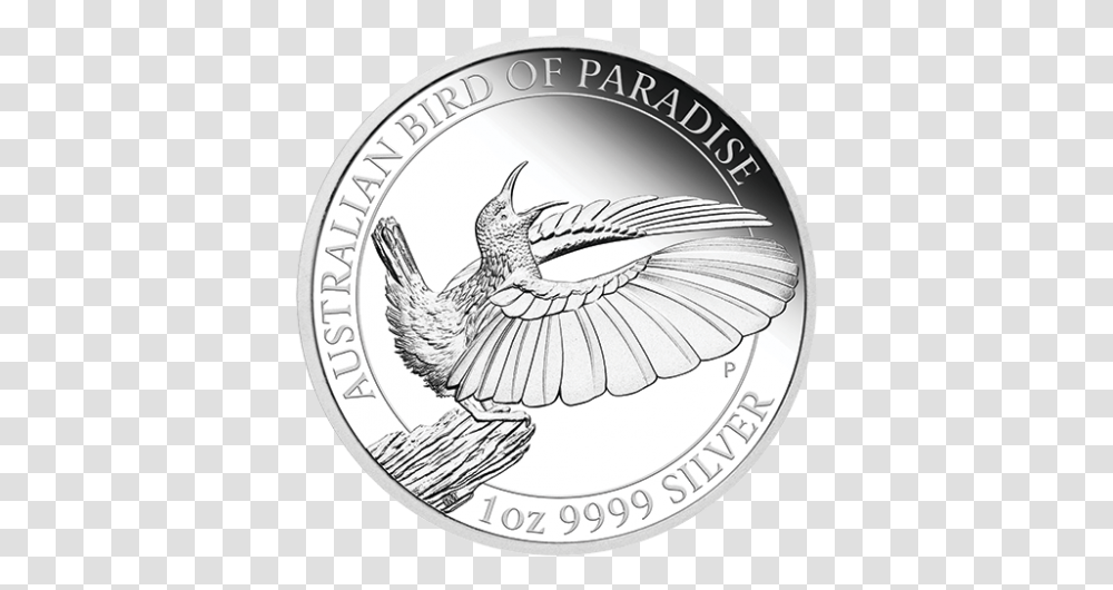 2019 1 Oz Australia Bird Of Paradise 9999 Silver Proof Coin Birds Of Paradise Proof 2019, Money, Nickel, Animal, Dime Transparent Png