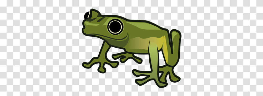 2019 Evening Of The Frogs Stockholms Tree Frog, Amphibian, Wildlife, Animal, Gun Transparent Png