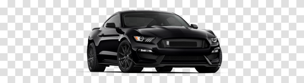 2019 Ford Mustang Black Shadow Rumor Ford Mustang Black Colour, Car, Vehicle, Transportation, Automobile Transparent Png