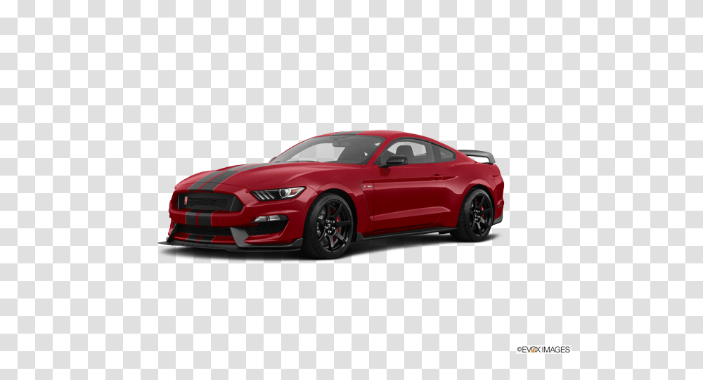 2019 Ford Mustang From Ricart Shelby Mustang, Sports Car, Vehicle, Transportation, Automobile Transparent Png