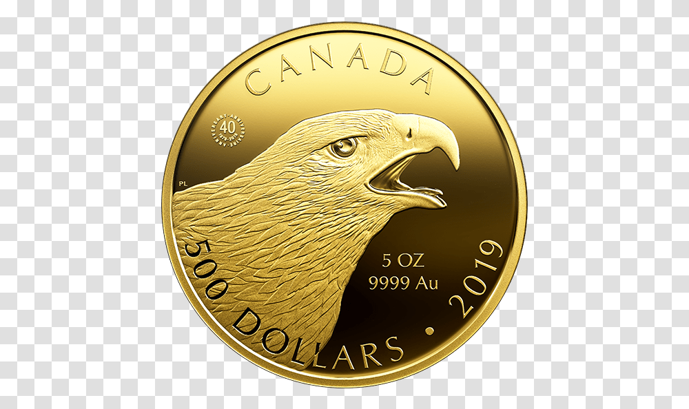 2019 Gold Coins, Bird, Animal, Money Transparent Png