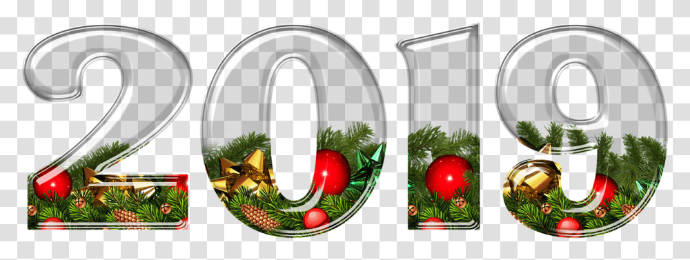 2019 Happy New Year Hd, Tree, Plant, Conifer, Lighting Transparent Png