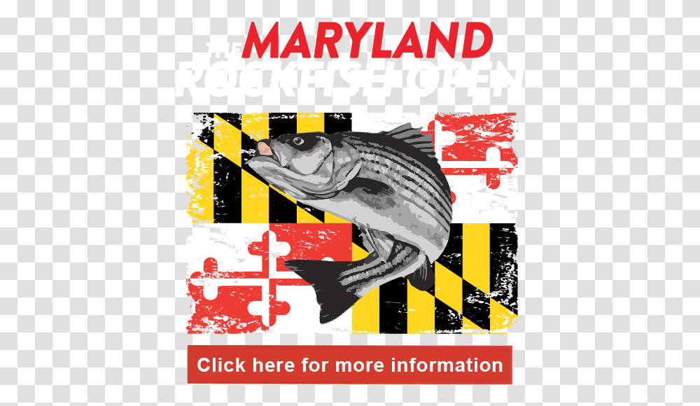2019 Md Rockfish Open Maryland State Flag, Advertisement, Poster, Flyer, Paper Transparent Png