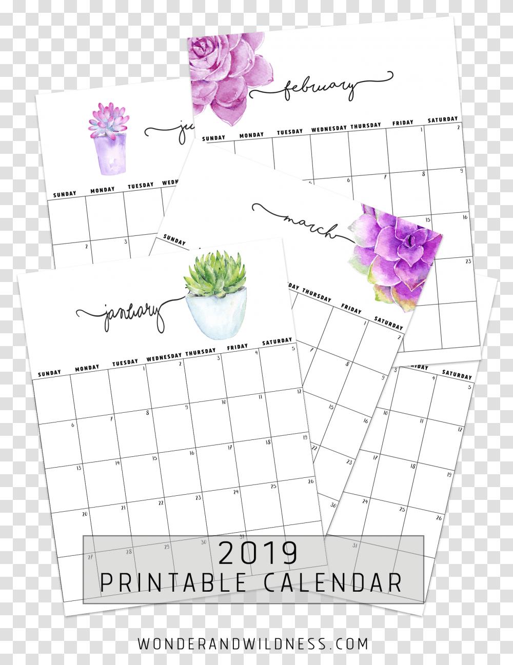 2019 Printable Succulent Calendar, Flyer, Poster, Paper Transparent Png