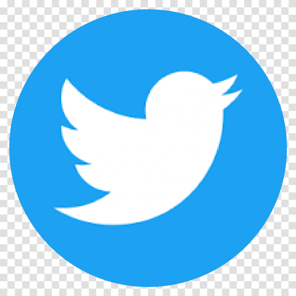 2019 Pro Exp Media Inc Logos Of Social Media Apps Clipart Twitter Logo, Symbol, Trademark, Animal Transparent Png
