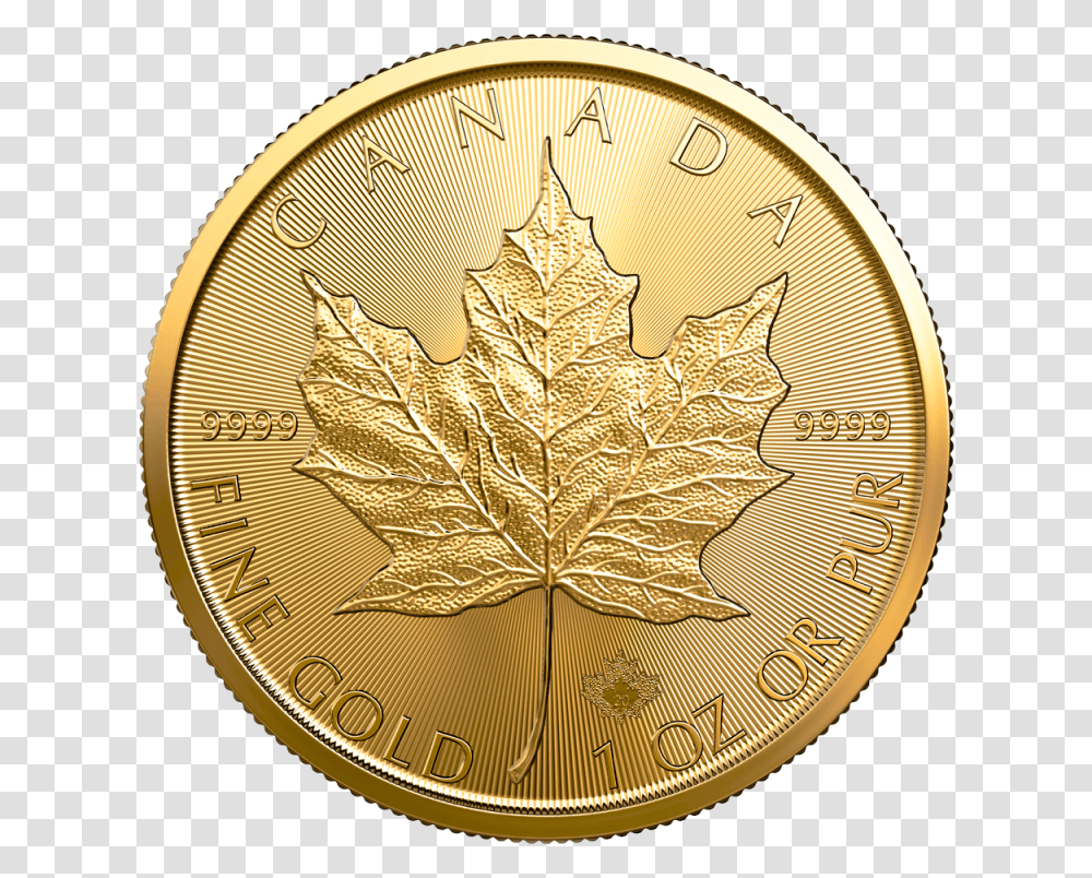 2020 1 Oz Canadian Gold Maple Leaf Coin, Plant, Money, Bird, Animal Transparent Png
