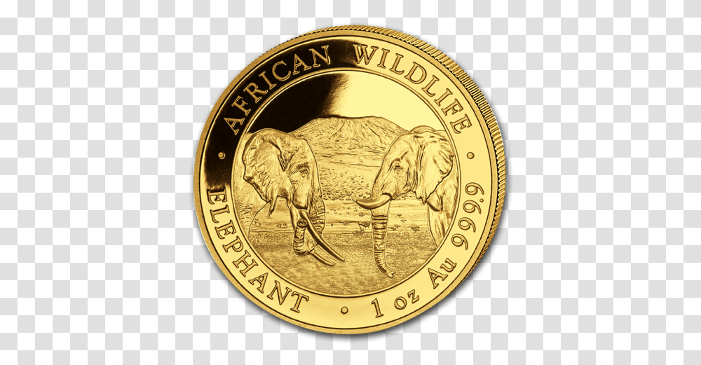 2020 1 Oz Somalia Elephant 9999 Gold Coin Bu Gold Coin 2020 Bullion, Money Transparent Png