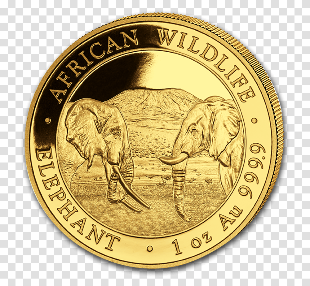 2020 1 Oz Somalia Elephant 9999 Gold Coin Bu Gold Coin 2020 Bullion, Money, Wildlife, Mammal, Animal Transparent Png