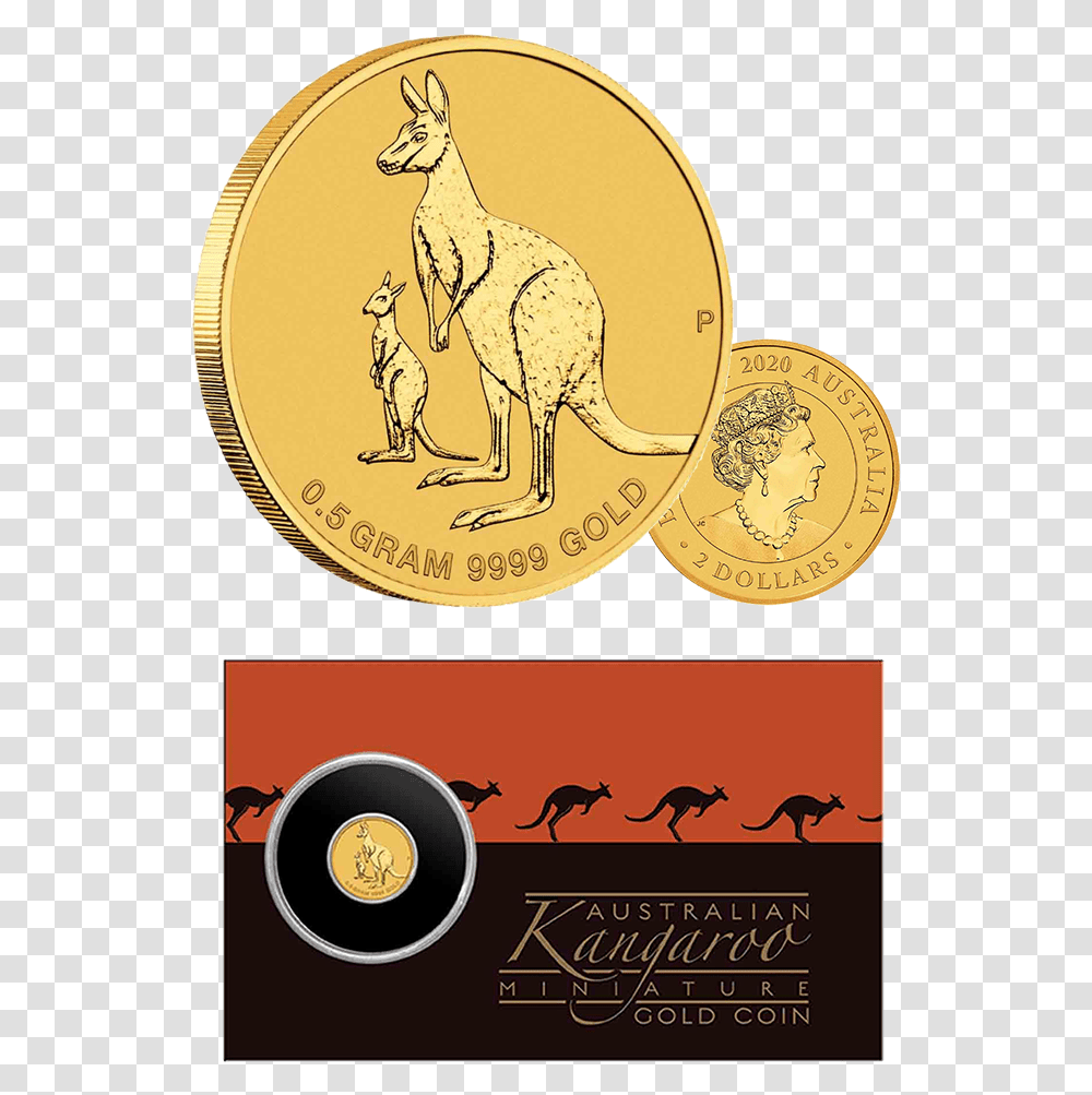 2020 2 Kangaroo 05g Gold Brilliant Unc Pellicer Creek, Coin, Money, Antelope, Wildlife Transparent Png