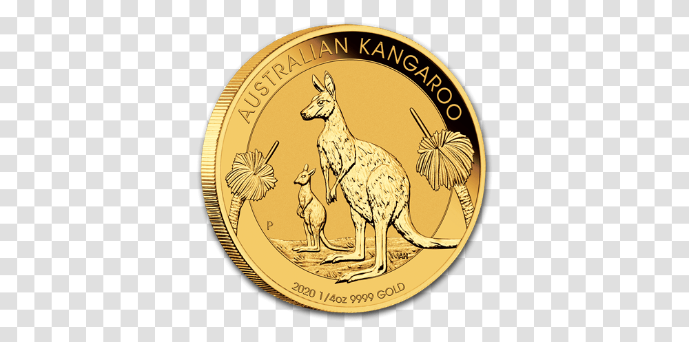 2020 Australian Kangaroo Gold Coins Gold Spot 2020 1 Oz Kangaroo Gold Coin, Money, Mammal, Animal, Wallaby Transparent Png