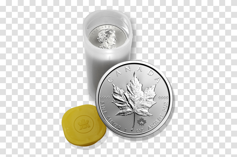 2020 Canadian Maple Leaf Silver Coins Rolls Of 25 Gold 25 Maple Leaf Silver, Money, Person Transparent Png