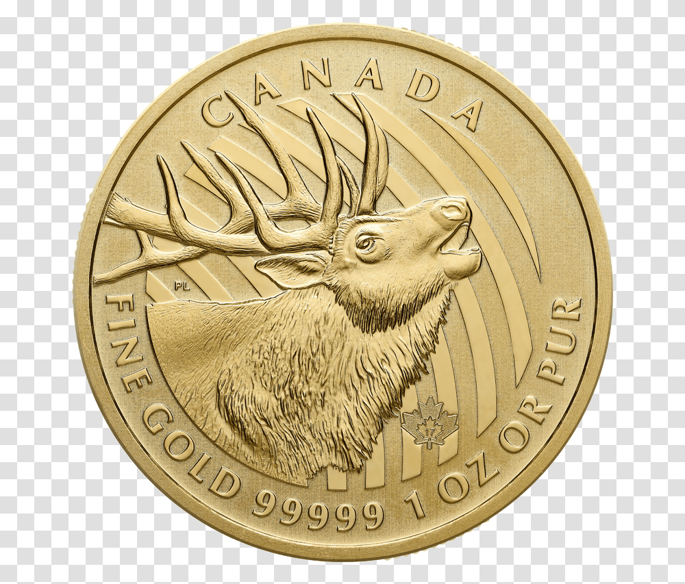 2020 Gold Maple Leaf Coin, Money, Rug, Gold Medal, Trophy Transparent Png