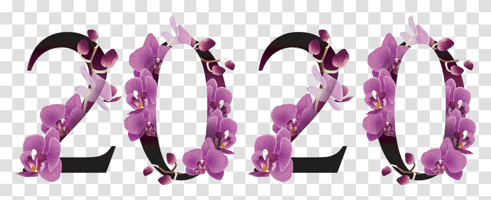2020 Number Pic Background Scorpion, Plant, Flower, Flower Arrangement, Orchid Transparent Png