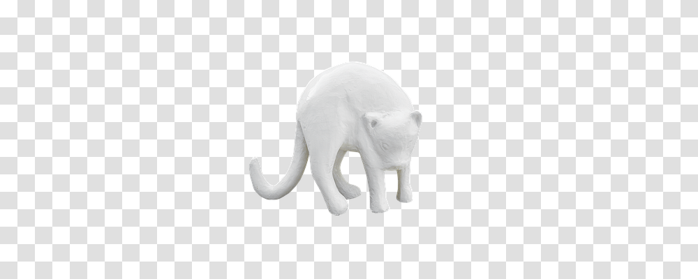 Animals, Mammal, Wildlife, Cat Transparent Png