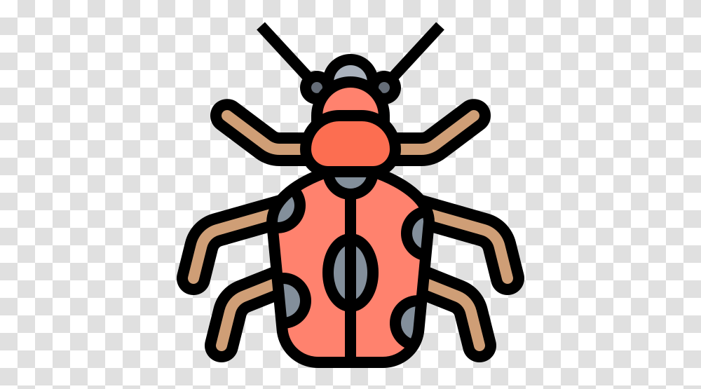 274 Free Vector Icons Of Entomology Parasitism, Insect, Invertebrate, Animal, Ant Transparent Png