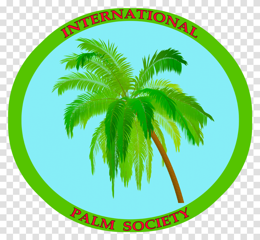 3 Coconut Tree 1280x1126 Clipart Download Coconut Tree, Palm Tree, Plant, Arecaceae, Green Transparent Png