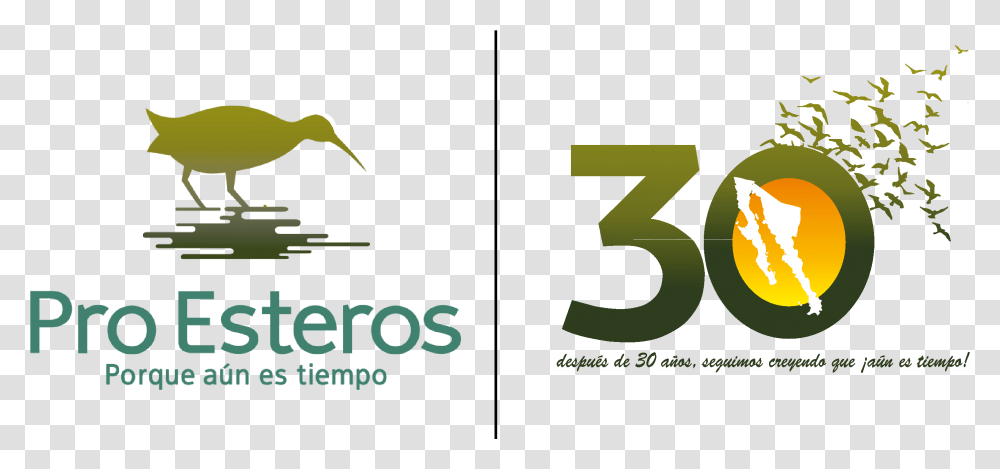 30th Anniversary Of Pro Esteros A Vertical, Number, Symbol, Text, Bird Transparent Png