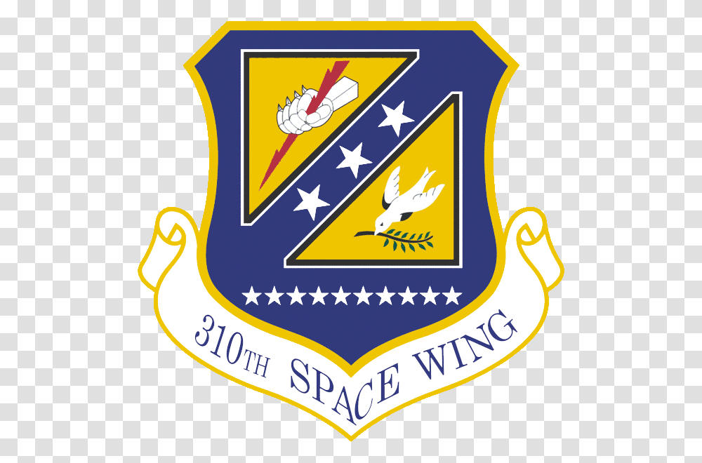 310th Space Wing Fighter Wing, Bird, Animal, Armor Transparent Png