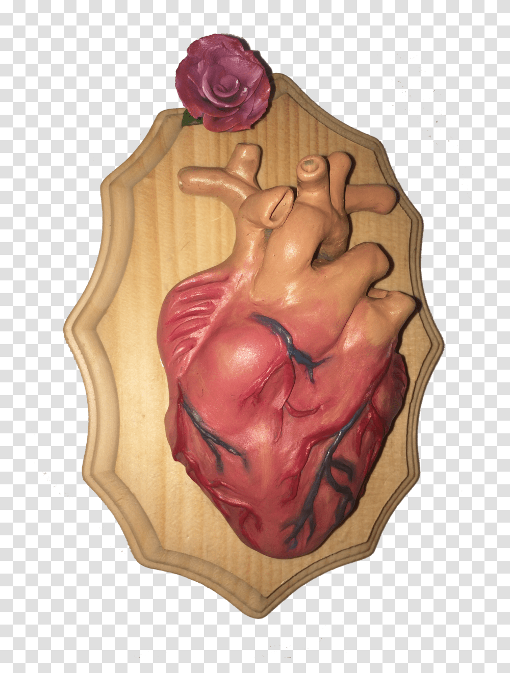 3d Ameerah Singh Anatomical Heart, Furniture, Figurine, Person, Human Transparent Png