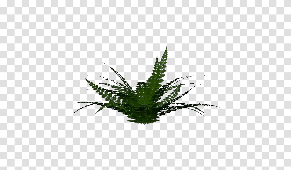 3d Bushes, Plant, Painting, Fern Transparent Png