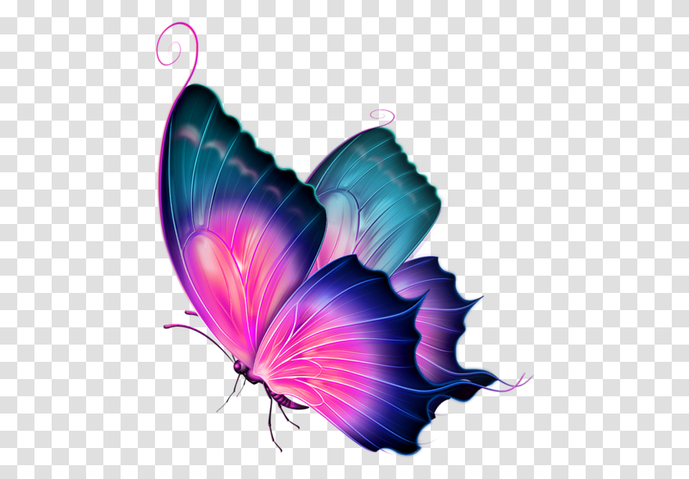 3d Butterfly Clipart, Ornament, Pattern, Fractal Transparent Png