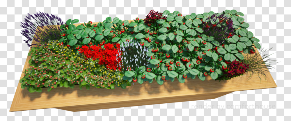 3d Decorative Flower Bed Rose, Plant, Petal, Geranium, Floral Design Transparent Png