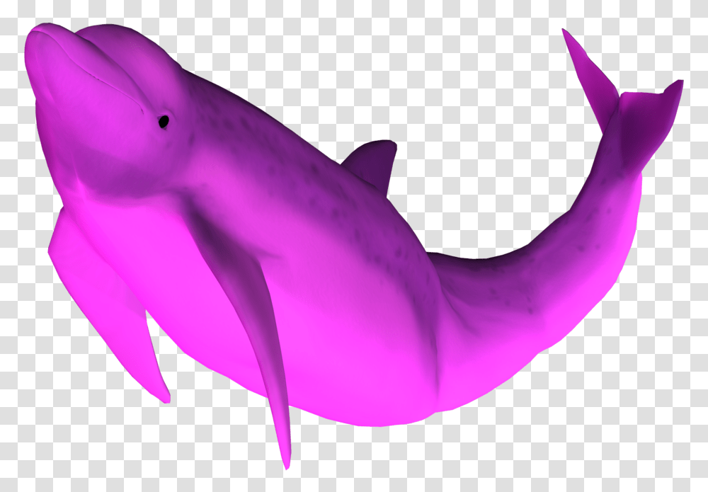 3d Dolphin Pink Dolphin, Mammal, Sea Life, Animal, Bird Transparent Png