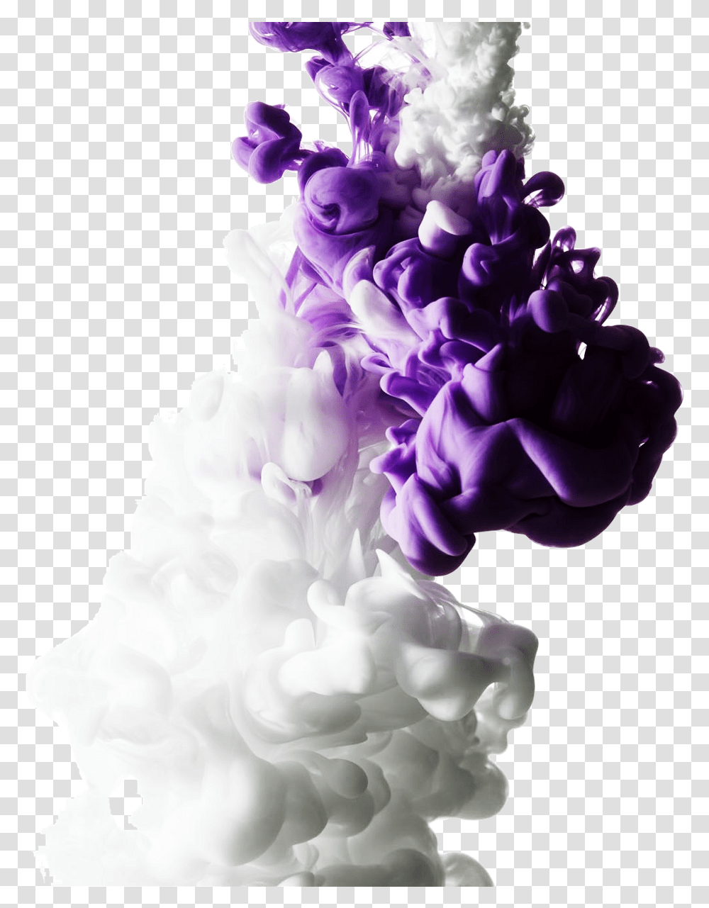 3d Effect Smoke White Purple Colors Abstract Awesome Smoke Effect White Background, Plant, Cream Transparent Png