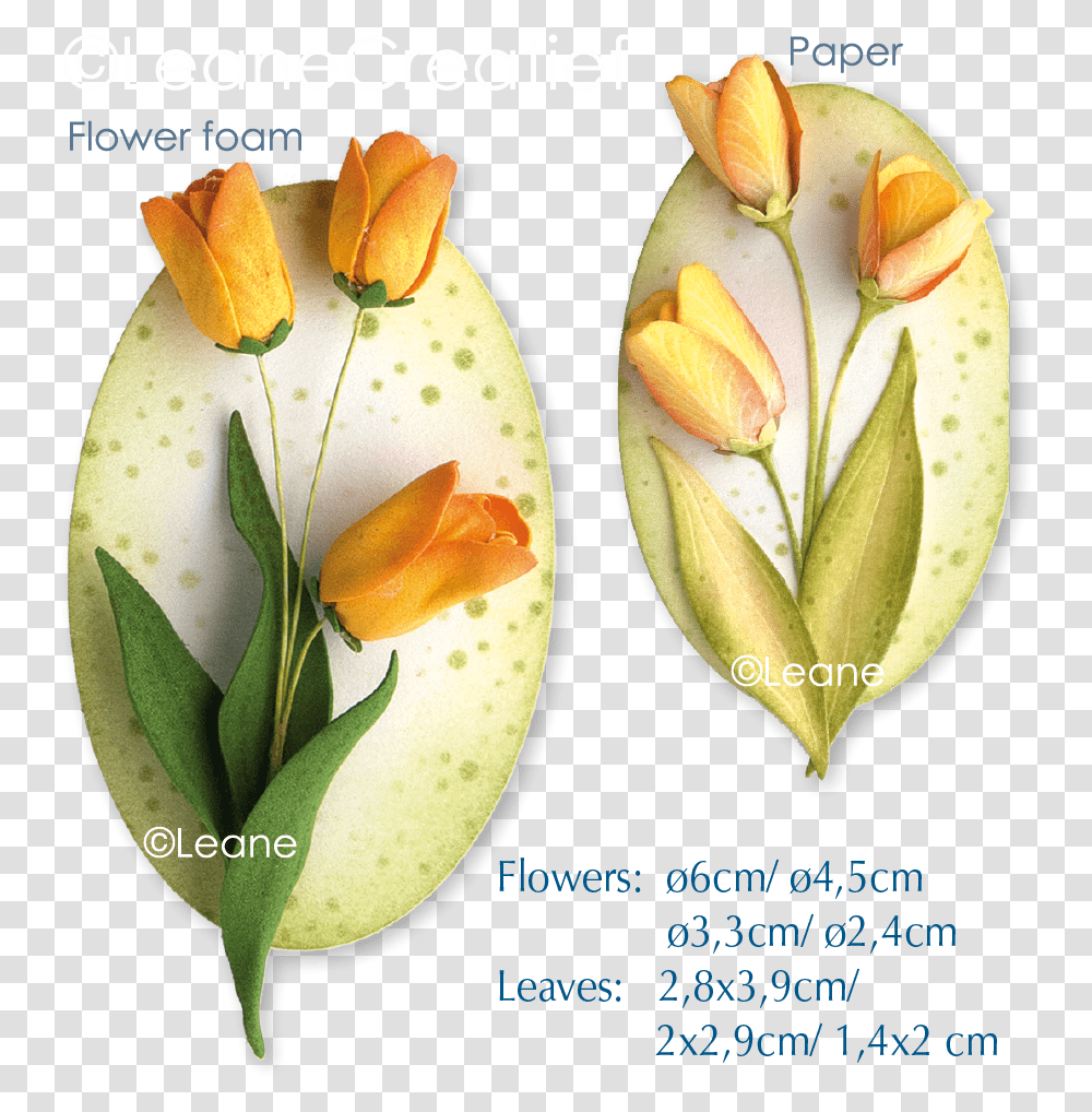3d Flower Tulip Knife, Plant, Petal, Bud, Sprout Transparent Png
