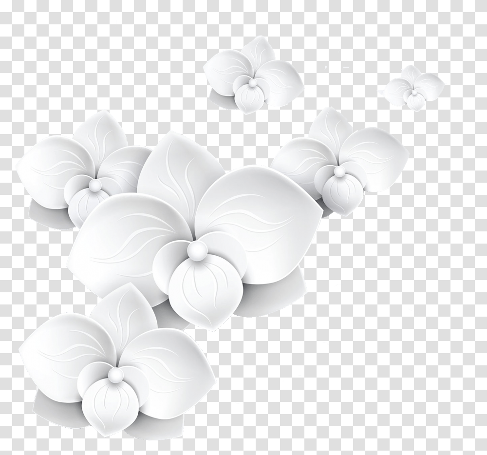 3d Flowers Free Pictures White 3d Flower, Floral Design, Pattern Transparent Png