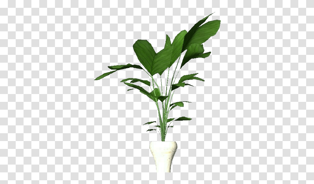 3d Flowers, Plant, Leaf, Tree, Palm Tree Transparent Png