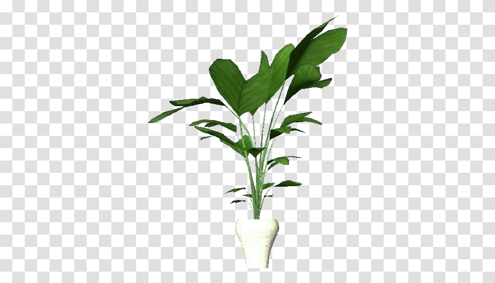 3d Flowers Potted Plant For Apartments Acca Software Apartment Plant, Tree, Leaf, Palm Tree, Arecaceae Transparent Png
