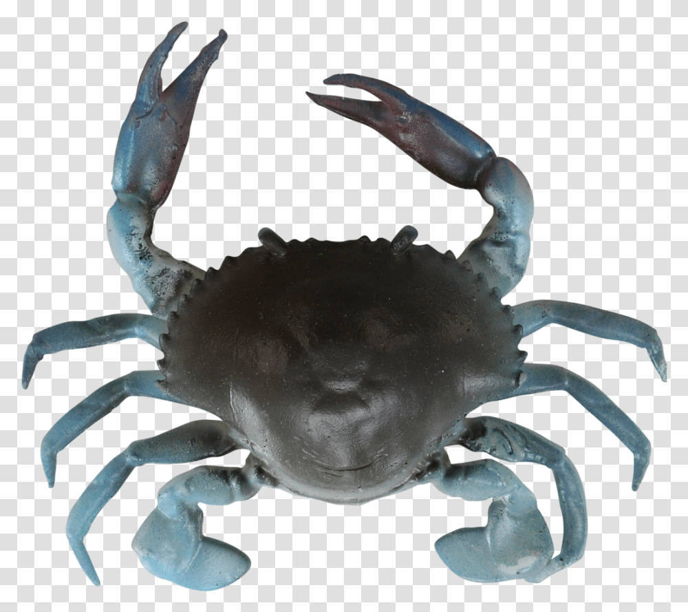 3d Gear, Food, Crab, Seafood, Sea Life Transparent Png