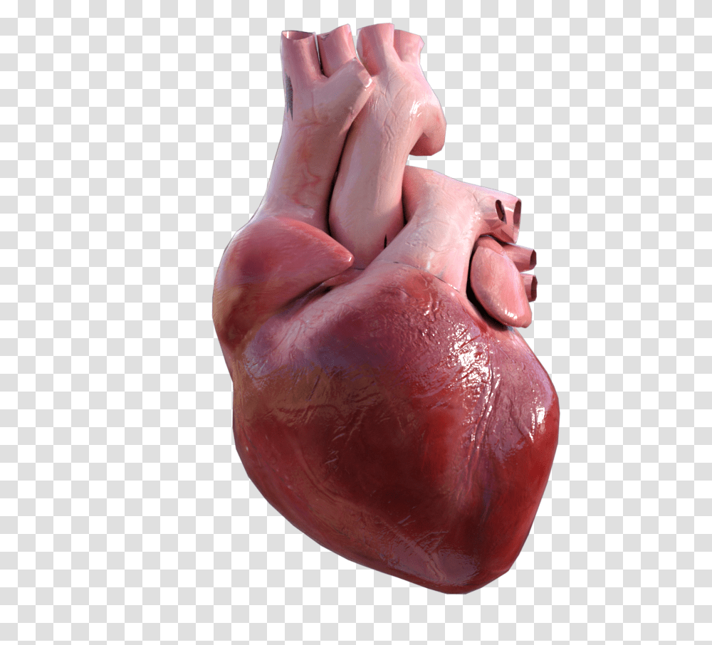 3d Heart, Finger, Hand, Person, Human Transparent Png