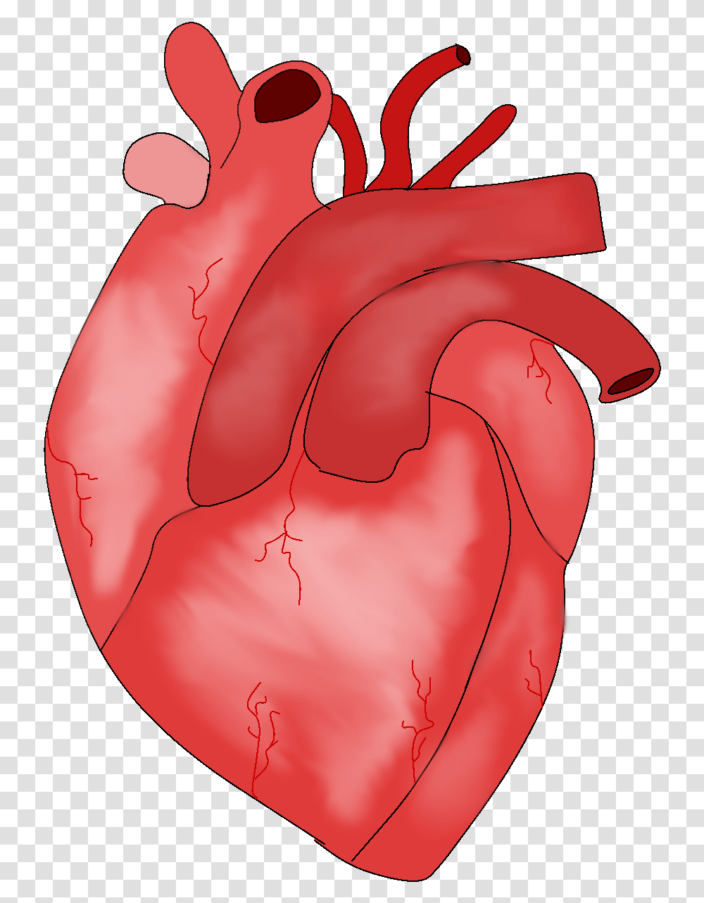 3d Heart Using Personalized Bio Illustration, Mouth, Lip Transparent Png