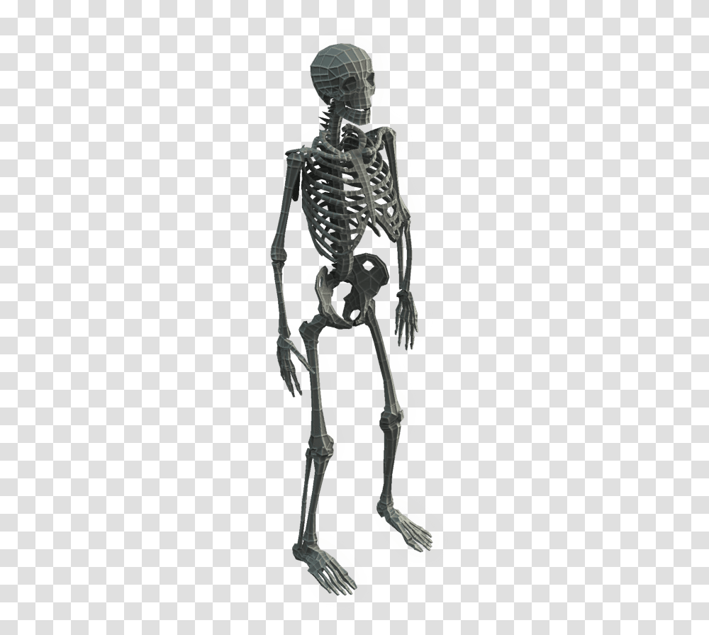 3d Model, Skeleton Transparent Png