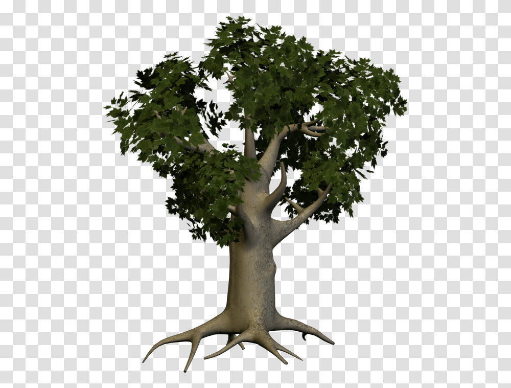 3d Papaya Tree Big Tree, Plant, Tree Trunk, Antelope, Wildlife Transparent Png