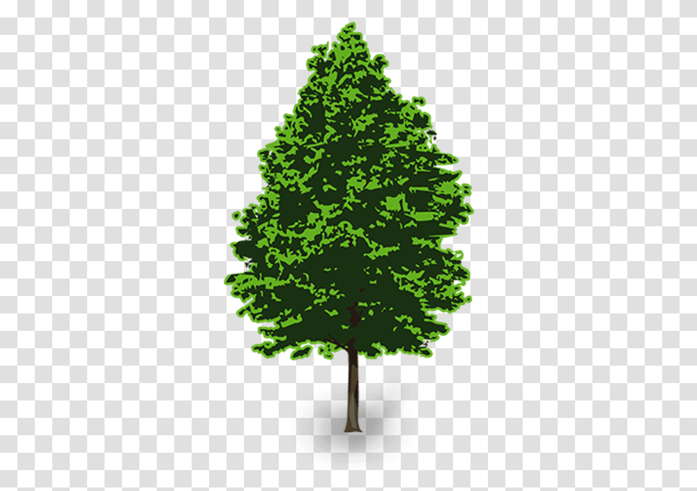 3d Pine Tree Vector Clip Art Portable Network Graphics, Plant, Oak, Sycamore, Christmas Tree Transparent Png