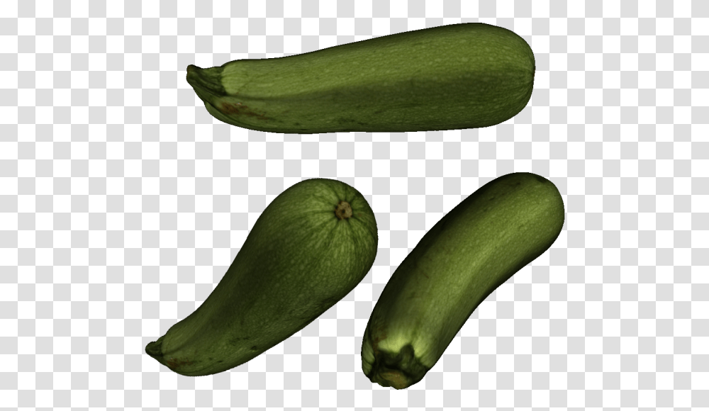 3d Printable Shell Of Zucchini Zucchini, Plant, Squash, Produce, Vegetable Transparent Png