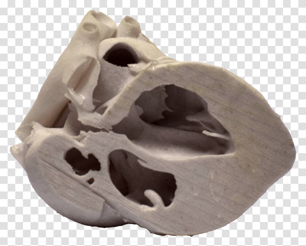3d Printed Heart Cross Section Skull, Hat, Apparel, Archaeology Transparent Png