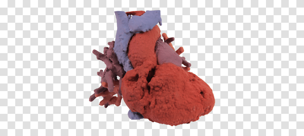3d Printed Pulmonary Blood Flow Heart ModelTitle, Dessert, Food, Cream, Fungus Transparent Png