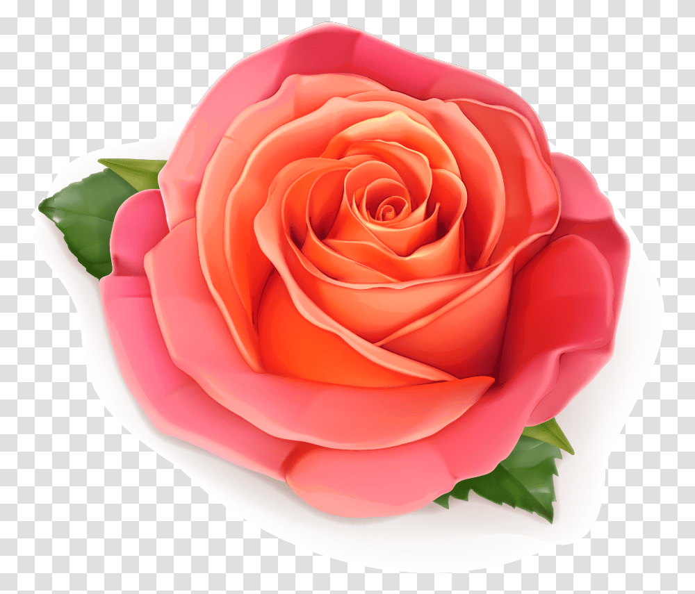 3d Rose, Flower, Plant, Blossom, Petal Transparent Png