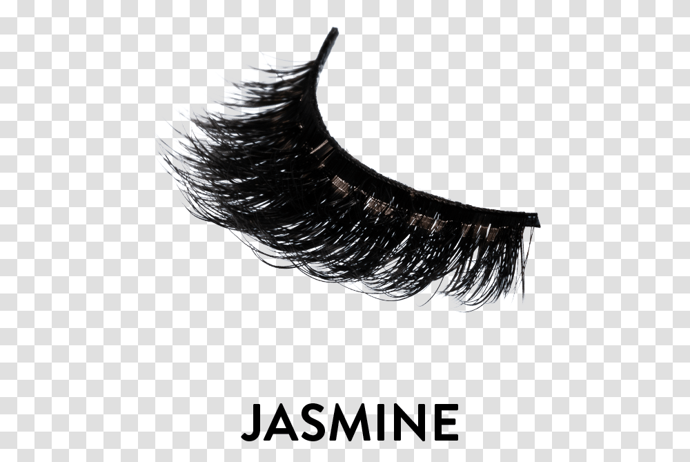 3d Russian Faux Mink Ownerlistens, Brush, Tool, Comb Transparent Png