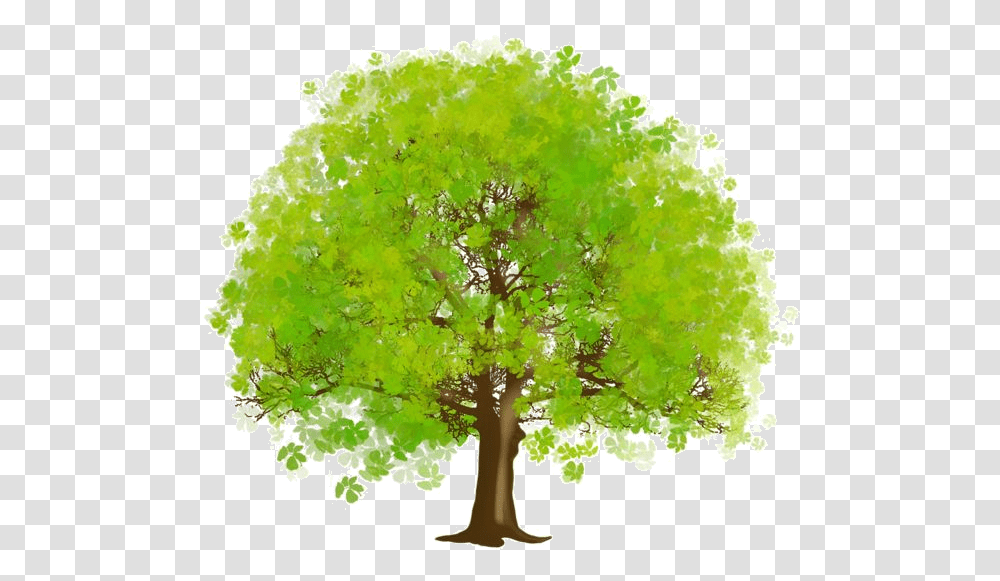 3d Tree Clipart Image Free 19new Tree Clipart Tree Clipart, Plant, Oak, Sycamore, Maple Transparent Png