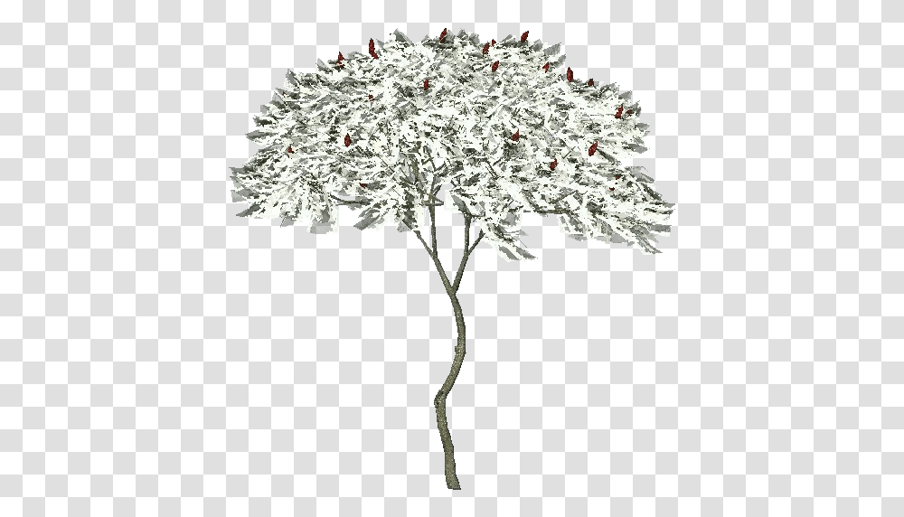 3d Trees American Sumo Acca Software Artificial Flower, Plant, Blossom, Bush, Crystal Transparent Png