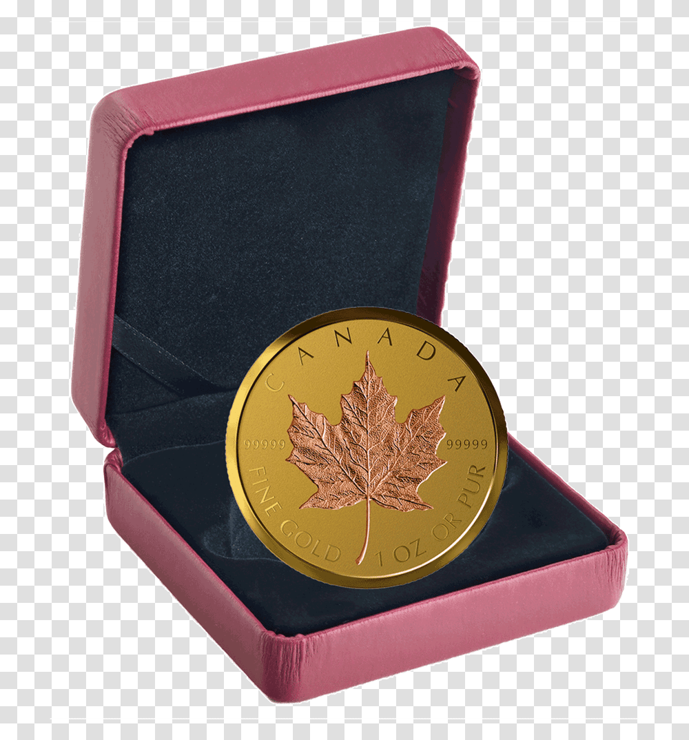 4 Coin, Gold, Money, Trophy, Gold Medal Transparent Png