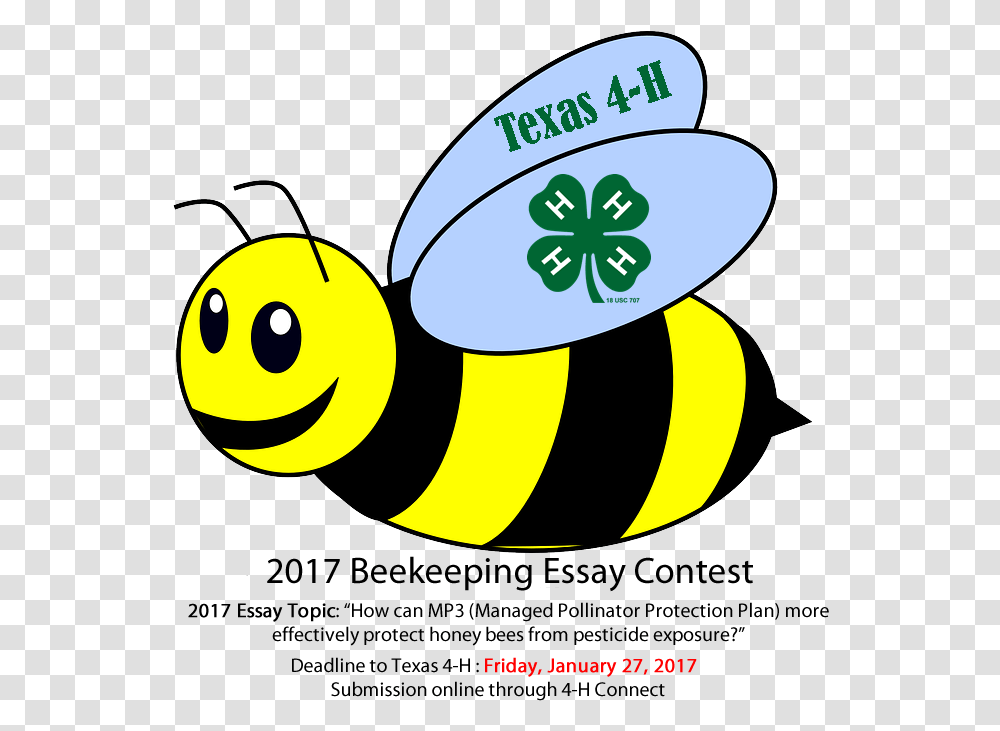 4 H Clover Colouring Pages Of Bee, Plant, Animal Transparent Png