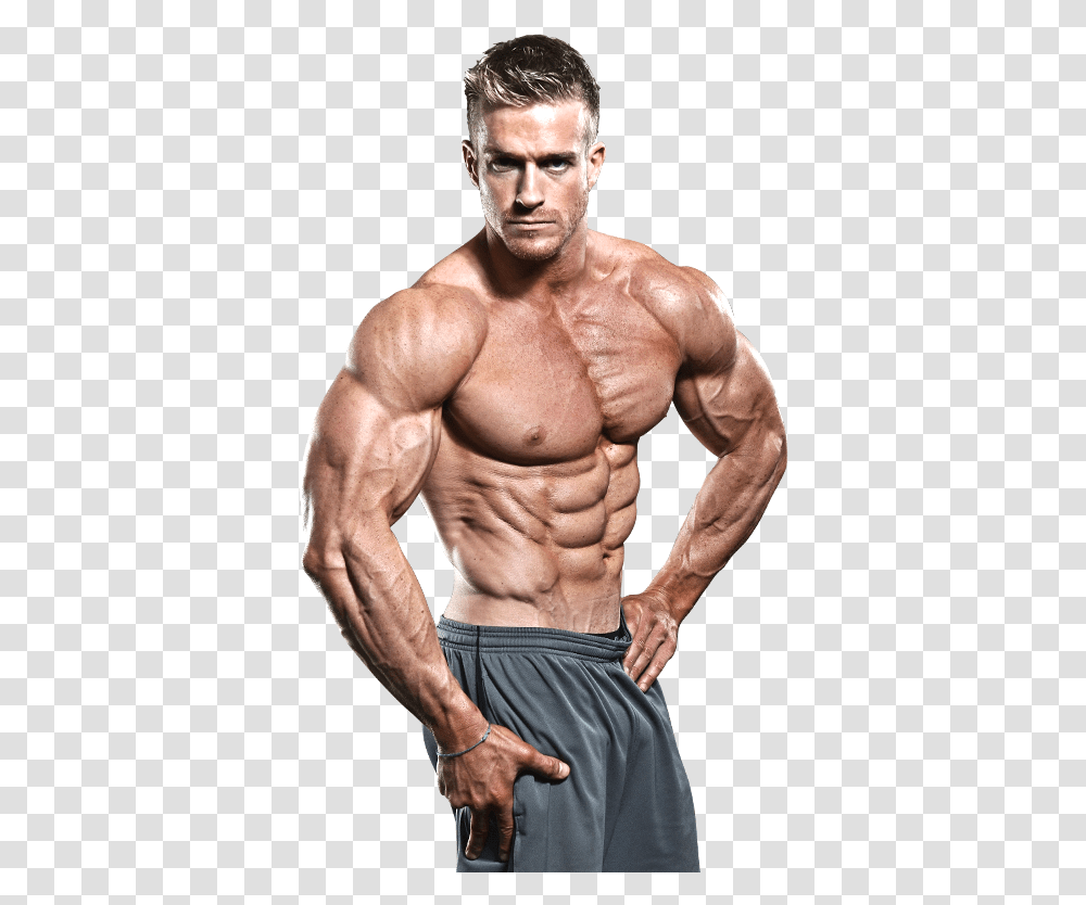 4 Image Gym Images Hd, Arm, Person, Human, Working Out Transparent Png