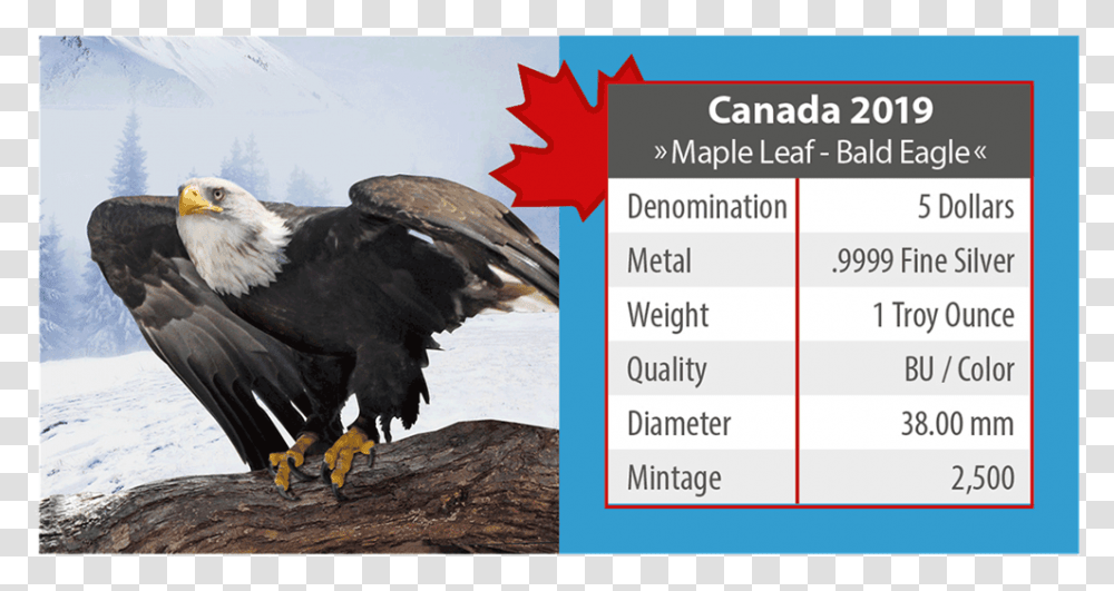 4 Maple Leaf Bald Eagle Cana Coin, Bird, Animal, Poster, Advertisement Transparent Png