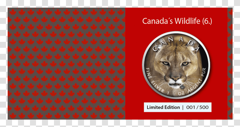 4 Maple Leaf, Cougar, Wildlife, Mammal, Animal Transparent Png